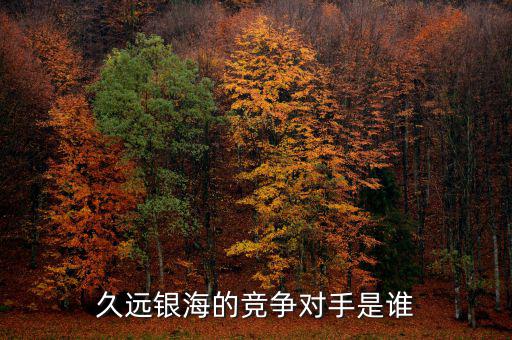 久遠(yuǎn)銀海的競(jìng)爭(zhēng)對(duì)手是誰