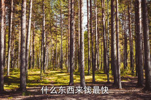 抄什么經(jīng)來(lái)錢(qián)快，什么東西來(lái)錢(qián)最快