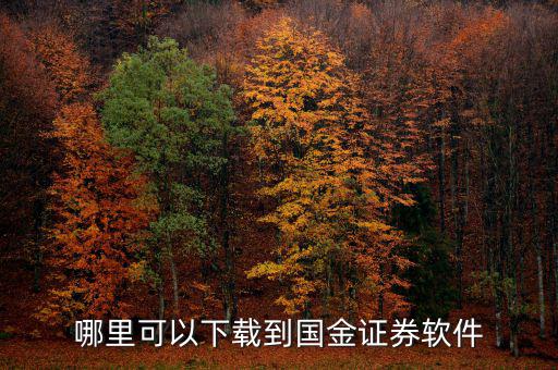 國金證券用的什么軟件，國金證券手機怎樣下載
