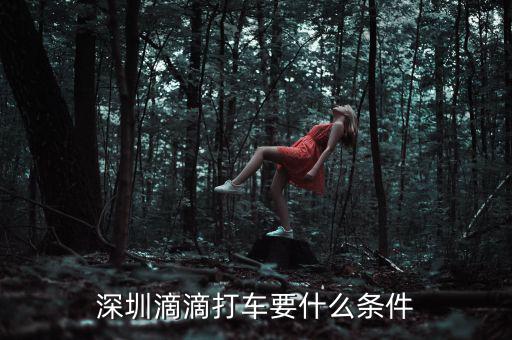深圳交通滴滴有什么政策，申請深圳滴滴對司機有些什么要求嗎