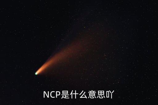可比企業(yè)ncp是什么簡(jiǎn)稱(chēng)，NCP是什么意思吖