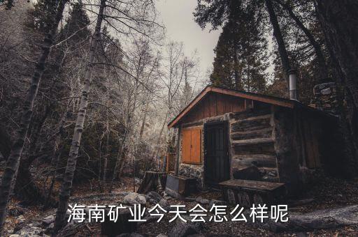 海南礦業(yè)在什么時(shí)候上市，說說海南礦業(yè)今天還會(huì)繼續(xù)大漲嗎