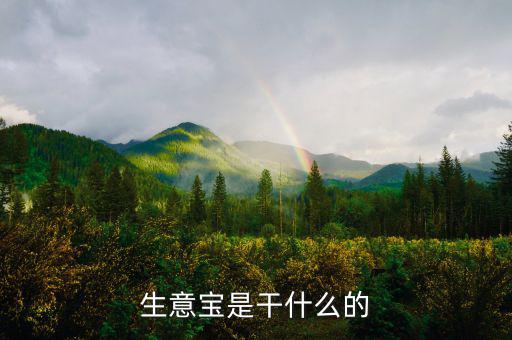 生意寶屬于什么版塊，生意寶聽(tīng)說(shuō)過(guò)嗎聽(tīng)說(shuō)能快速賺錢是真的假的
