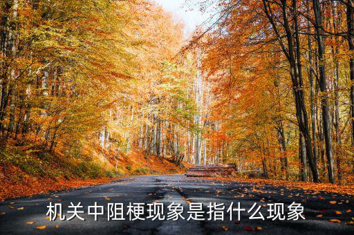 什么是中阻梗與最后一公里，無線網(wǎng)絡(luò)中最后一公里是什么意思