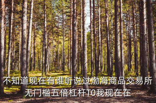 渤海商品多少倍杠桿是什么意思，專業(yè)做期貨的口中所謂幾倍杠桿幾倍杠桿到底是啥意思