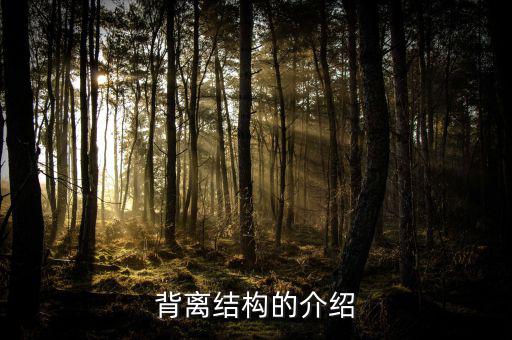 什么是帶結(jié)構(gòu)的背離，背離結(jié)構(gòu)的介紹