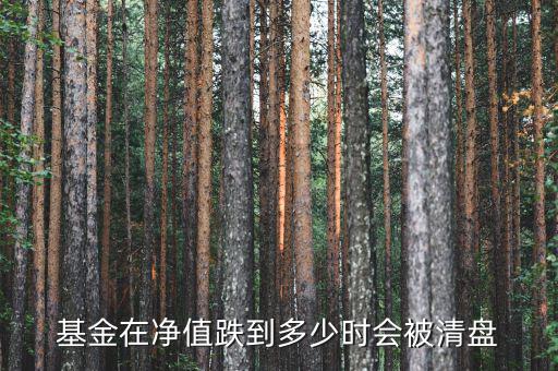 基金跌倒什么時(shí)候會(huì)停，基金什么時(shí)候不在跌