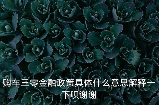 購(gòu)車(chē)三零金融政策具體什么意思解釋一下唄謝謝