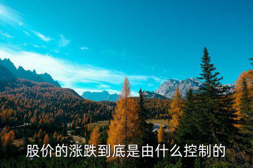 是什么控制了中國股市，是什么在操縱股市的大盤