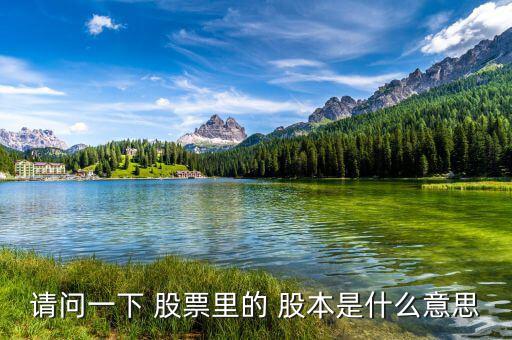 股票股本怎么看,股票總值乘以股本等于公司注冊(cè)資本