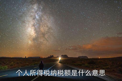 個(gè)人所得稅納稅額是什么意思