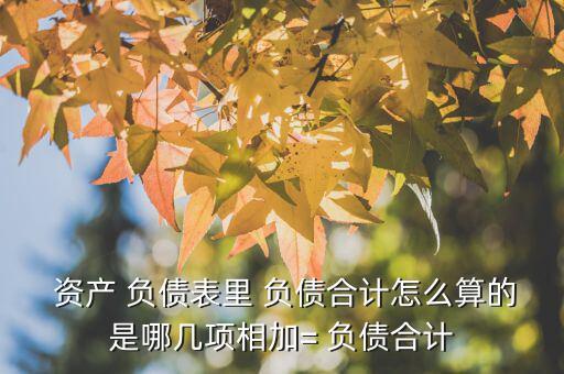  資產(chǎn) 負(fù)債表里 負(fù)債合計怎么算的是哪幾項(xiàng)相加= 負(fù)債合計