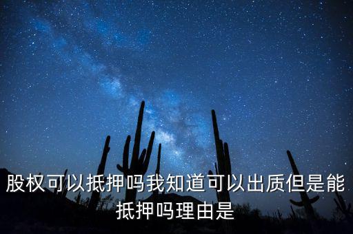 股權(quán)為什么不能抵押，股權(quán)可不可以進(jìn)行抵押