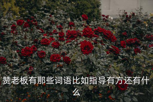 什么成語(yǔ)能夠形容房地產(chǎn)老板，贊老板有那些詞語(yǔ)比如指導(dǎo)有方還有什么