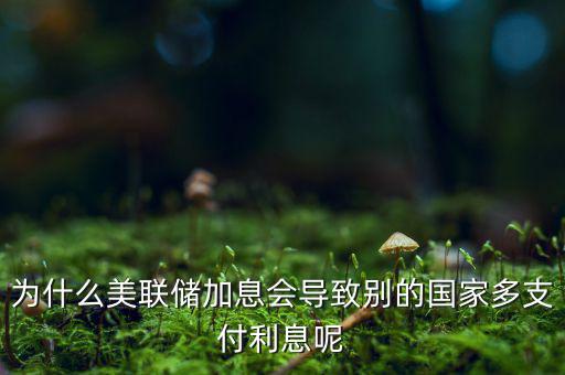 為什么美國(guó)加息，美國(guó)加息是什么意思