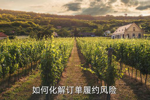 什么訂單執(zhí)行風險，淘寶訂單險的問題