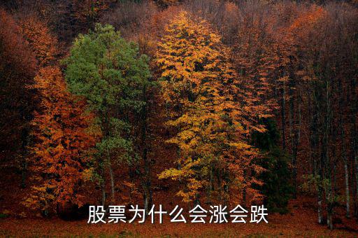 股票為什么會(huì)上漲下跌，股票為什么會(huì)漲會(huì)跌啊