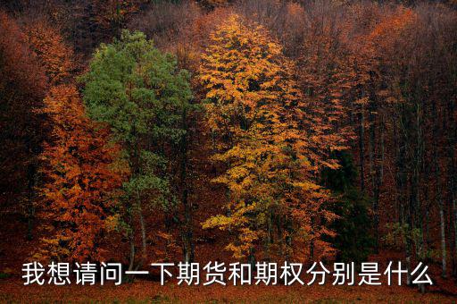 我想請(qǐng)問一下期貨和期權(quán)分別是什么