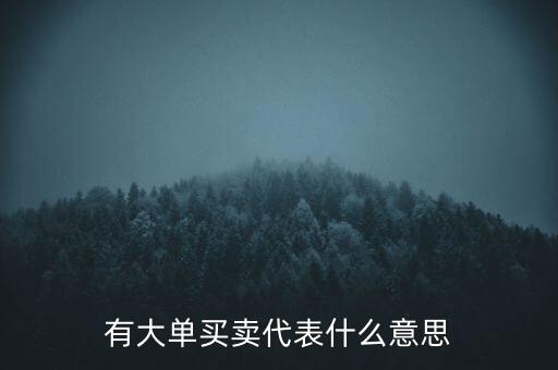 在買5成交有大單是什么意思，股票中大單是什么意思