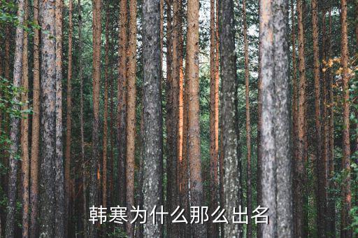 韓寒為什么那么出名