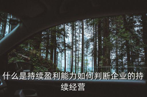 什么是持續(xù)盈利能力，什么是具備持續(xù)贏利能力的行業(yè)