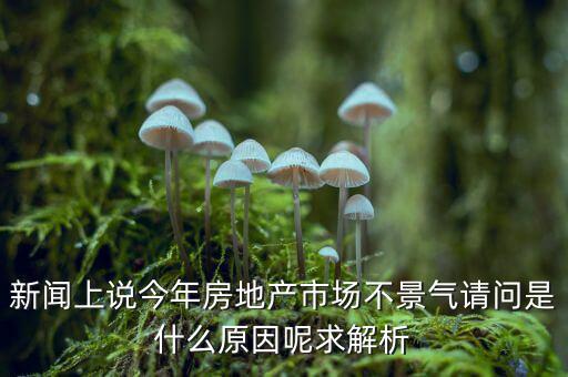 為什么房地產(chǎn)不景氣，新聞上說今年房地產(chǎn)市場不景氣請問是什么原因呢求解析