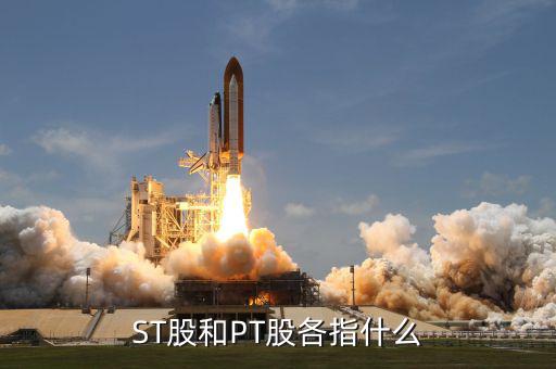 什么叫pt股，股票中PT股代表什么意思