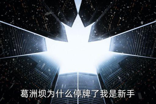 葛洲壩為什么停牌，葛洲壩為什么8月21日停牌