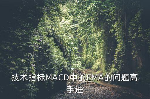 技術(shù)指標(biāo)MACD中的EMA的問題高手進