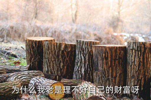 財富為什么不好說說理由，我?guī)蛣e人回答問題為什么說財富不足