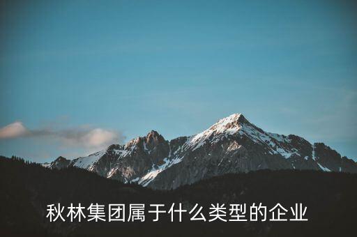 秋林集團是什么板塊，秋林集團屬于什么類型的企業(yè)