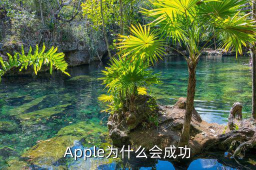 蘋果為什么能成功，為什么蘋果能做的很成功