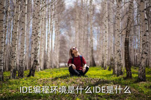 tltro是什么，虛擬內(nèi)存是什么玩意