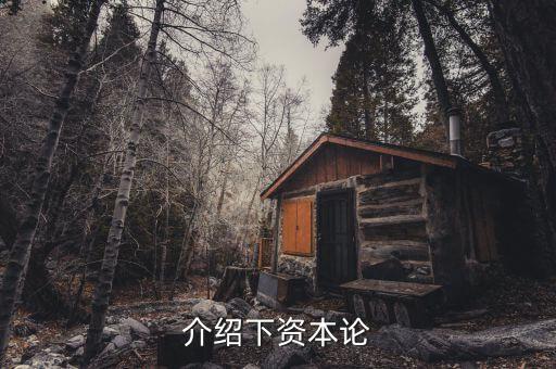 資本論是什么發(fā)表的，資本論 是馬克思寫的不