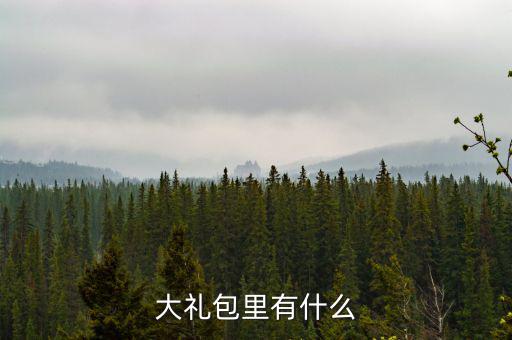 分期樂大禮包里有什么，大禮包里都有什么啊