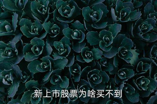 為什么新股我總買不到，新上市股票為啥買不到