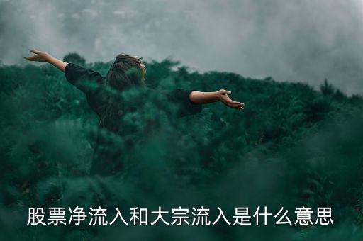 股票大宗流入是什么意思，股票凈流入額大宗流入什么意思