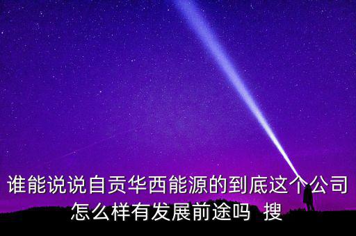誰能說說自貢華西能源的到底這個(gè)公司怎么樣有發(fā)展前途嗎  搜
