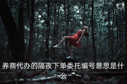 股票委托編號是什么意思，股票交易中委托編號208中208是什么意思