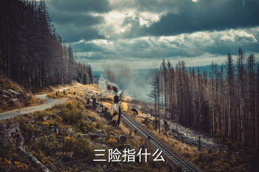 三險(xiǎn)指什么