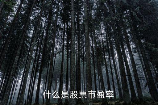 什么是股票市盈率