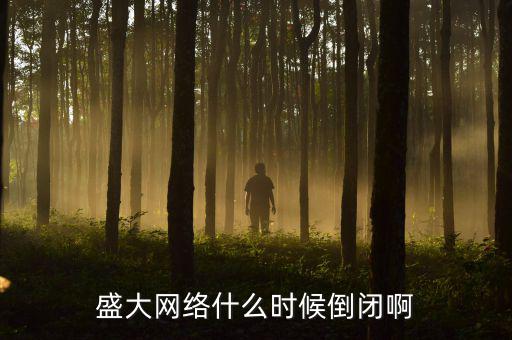 美國盛大游戲什么時間退市，盛大倒閉確切日期