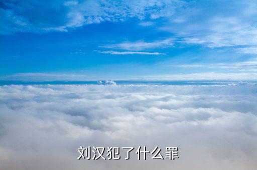 劉漢犯了什么罪