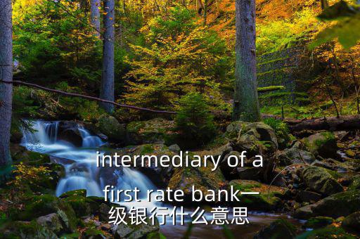 intermediary of a first rate bank一級銀行什么意思