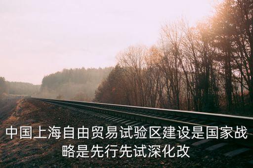 上海自貿(mào)區(qū)改革新60條是什么，建立上海自貿(mào)區(qū)屬于宏觀(guān)調(diào)控的哪個(gè)手段