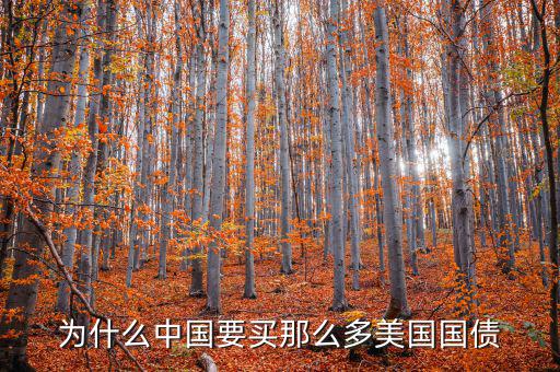 為什么要買美國國債，為什么要買那么多美國國債