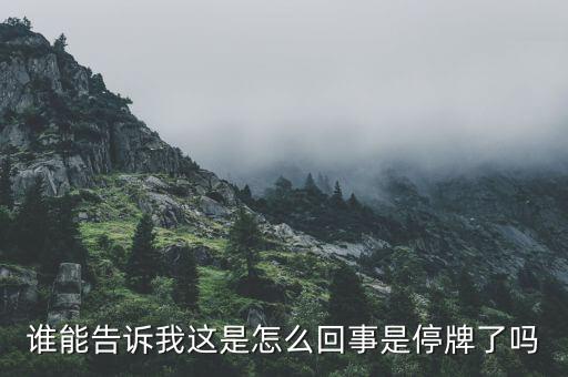 江南紅箭為什么停牌，江南紅箭為什么在軍工板塊里面沒有