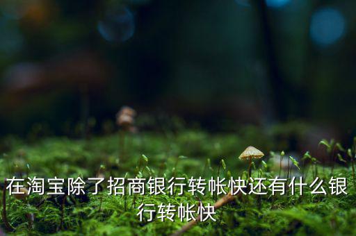 什么銀行網(wǎng)上轉(zhuǎn)賬最慢，在淘寶除了招商銀行轉(zhuǎn)帳快還有什么銀行轉(zhuǎn)帳快