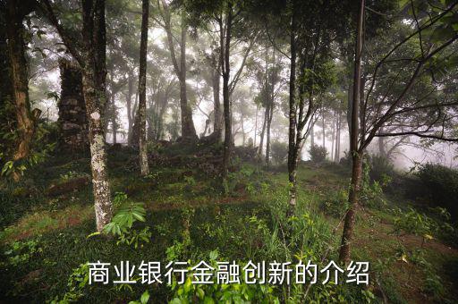 什么是金融創(chuàng)新，商業(yè)銀行金融創(chuàng)新的介紹