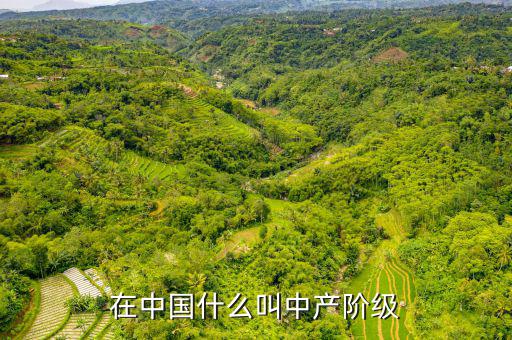 在中國(guó)什么叫中產(chǎn)階級(jí)